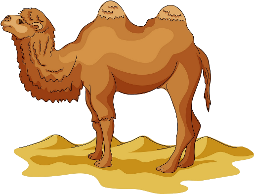 Cartoon Picture Of A Camel (600x400)