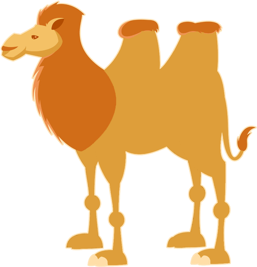 Bactrian Camel Dromedary Cartoon Illustration - Bactrian Camel Dromedary Cartoon Illustration (1000x1000)