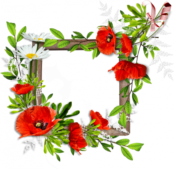 Flower Backgrounds, Frames, Tube, Cgi, Belles Images, - Cornice Di Fiori Png (600x583)