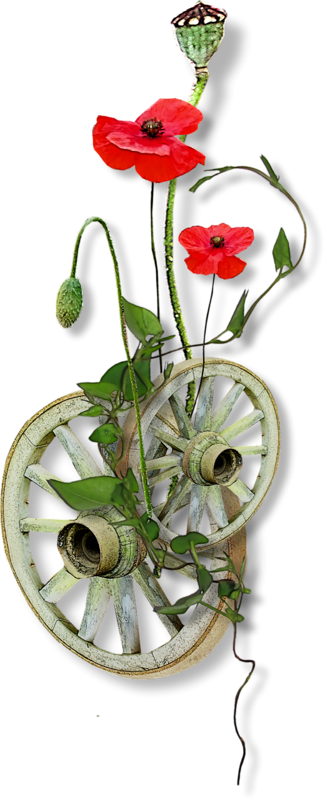 Trouvé Sur Http - Portable Network Graphics (325x800)