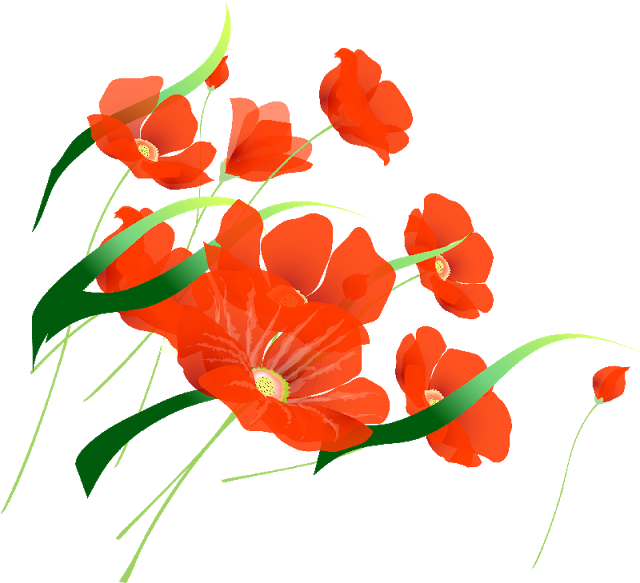 Art Flowers, Cheryl, Tube, Art Designs, Png, Art Floral, - Маки Пнг (640x583)