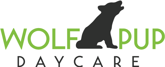 Wolf Pup Daycare Watford City, North Dakota - Puma (594x228)