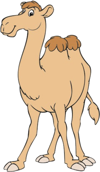 Funny Camel Clipart Pictures - Camel Cartoon (600x600)