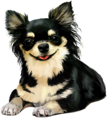 Chiens - Page - День Рождения Наталья Открытка (600x578)