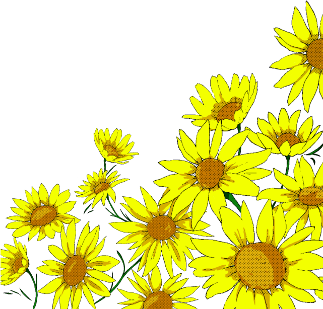 Sunflower, Flower, Yellow Png And Psd - Yellow (640x640)