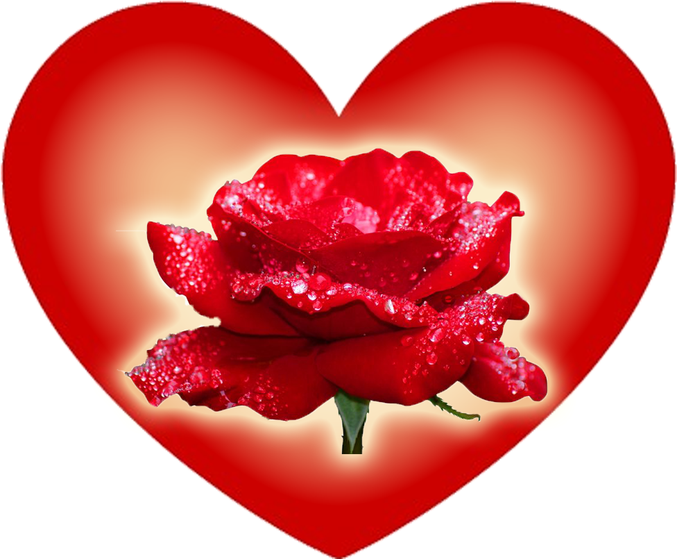 El Amor Nace En El Momento Menos Esperado Y Crece Sin - Fashion 3d Diy Diamond Embroidery Rose Flowers Icon (1134x850)