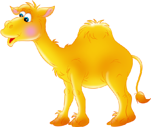 Funny Camel Pictures Clipart - Верблюд Клипарт (600x600)