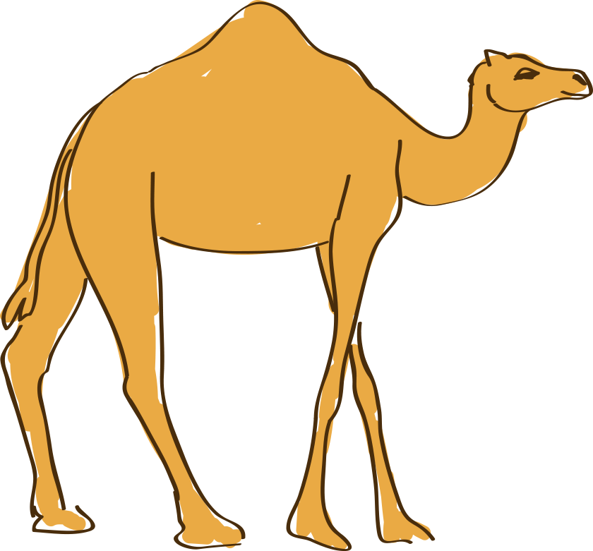 Dromedary Drawing Animation - Camel (840x781)