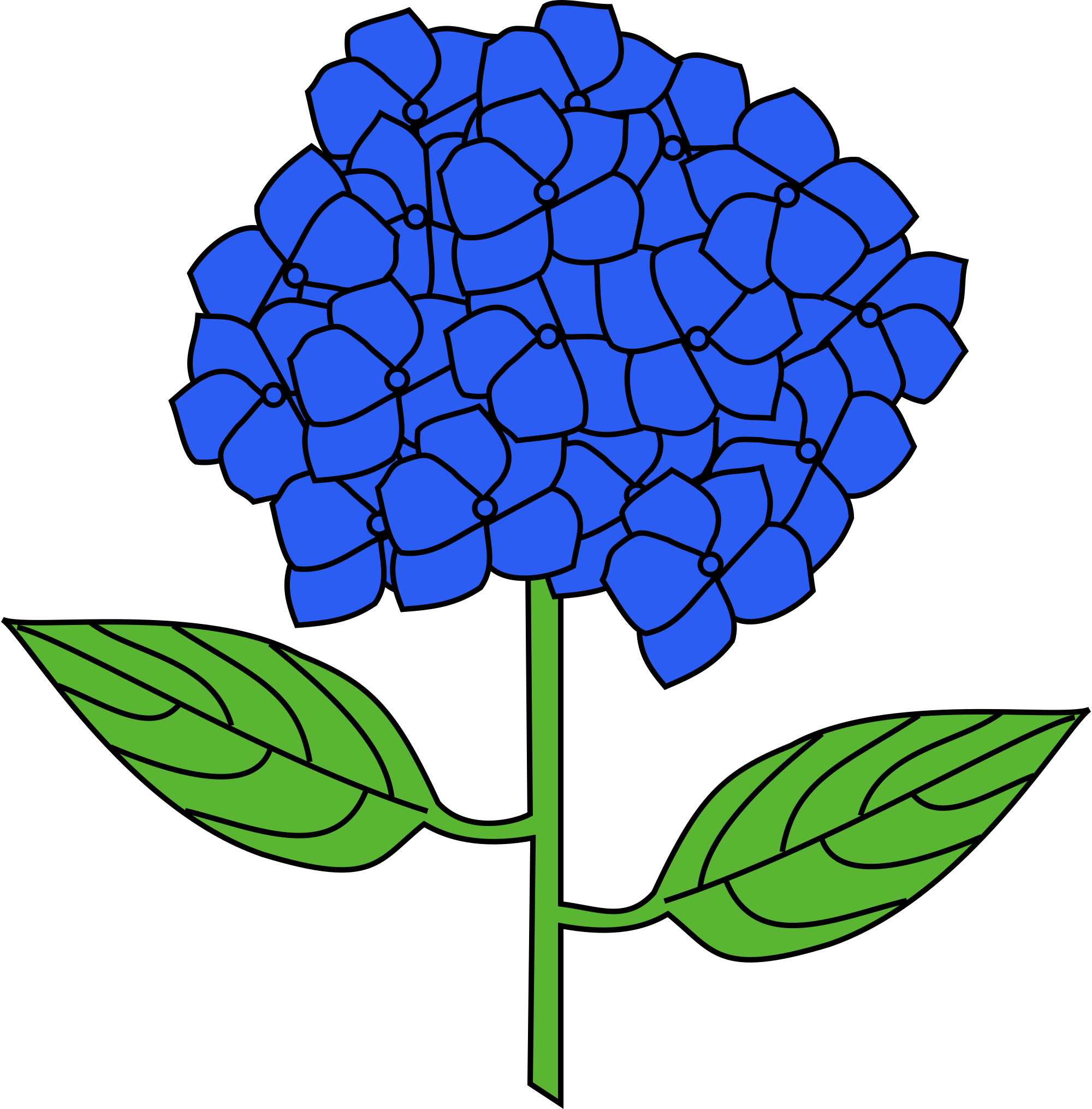 Hydrangea Clip Art - Clipart Hydrangea (2000x2030)