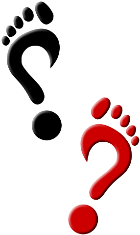 Footprint Clipart Mystery - Clip Art (332x530)