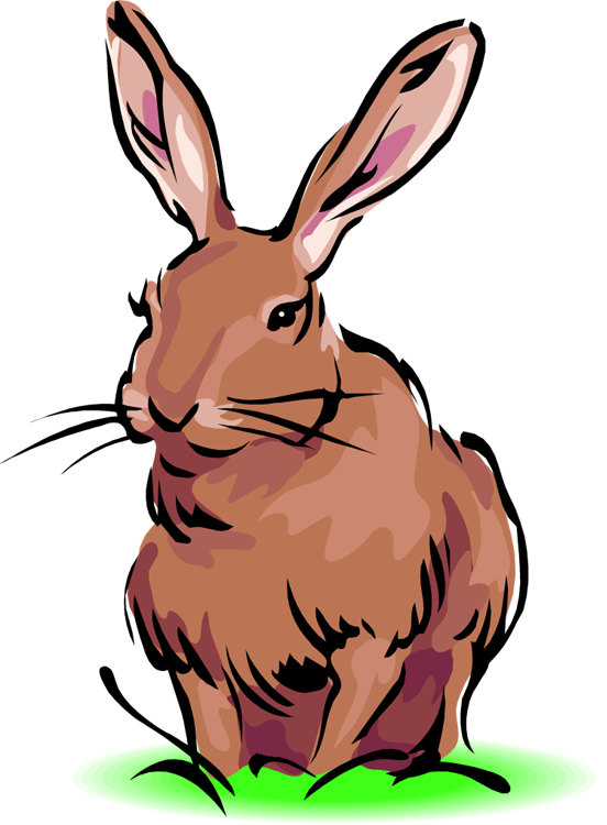 Gray Rabbit Clipart - Hare (552x750)