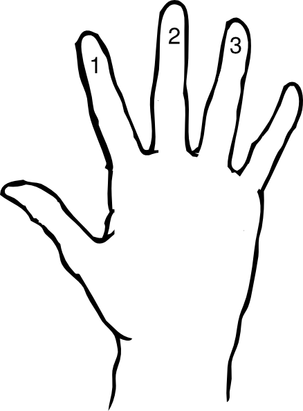 Right - Hand Outline (438x595)