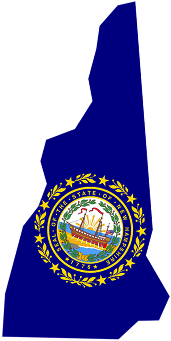The Aha Advocacy Group Meets Every Third Tuesday Of - Zazzle New Hampshire State Flag (751x799)