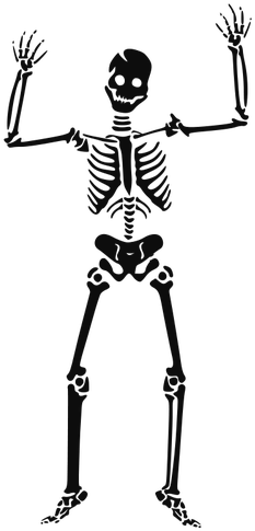 1505 Human Anatomy Clip Art Free Public Domain Vectors - Skeleton Clipart (400x500)
