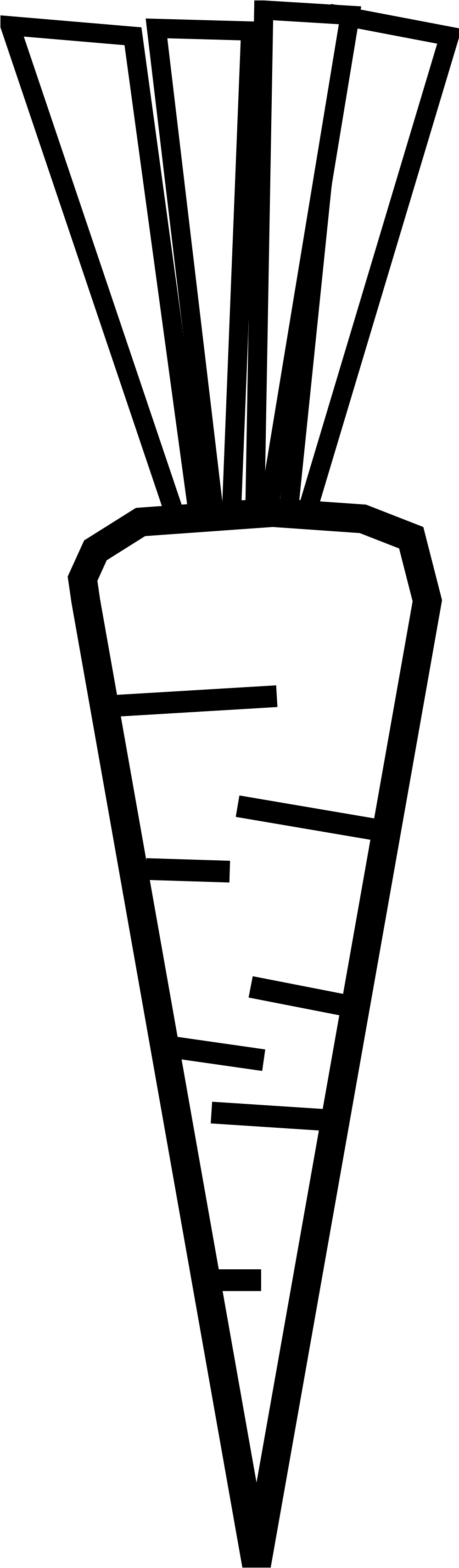 Fireworks - Black - And - White - Clip Art (999x3436)