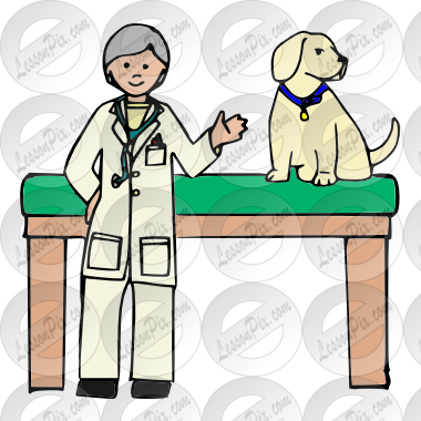 Veterinarian Picture - Clip Art (380x380)