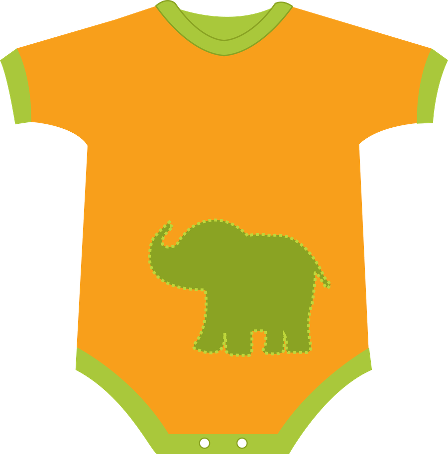 Grávida E Bebê - Indian Elephant (900x913)