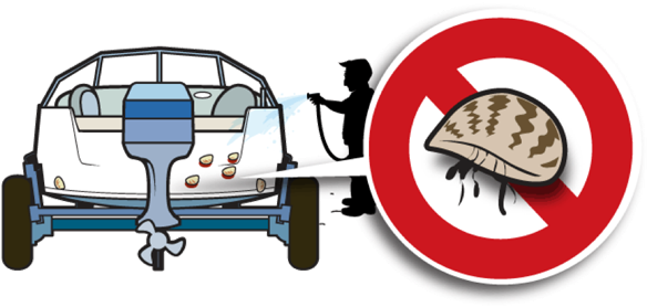 Aquatic Nuisance Species - Aquatic Nuisance Species (590x283)