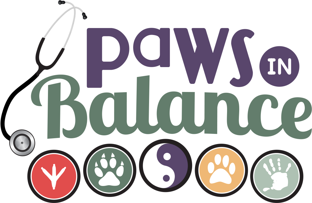 Paws In Balance - Paws In Balance (1208x828)