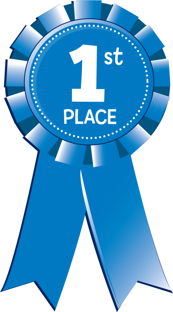 1st Place Medal Clipart Free - 1st Place Blue Ribbon (728x1311)