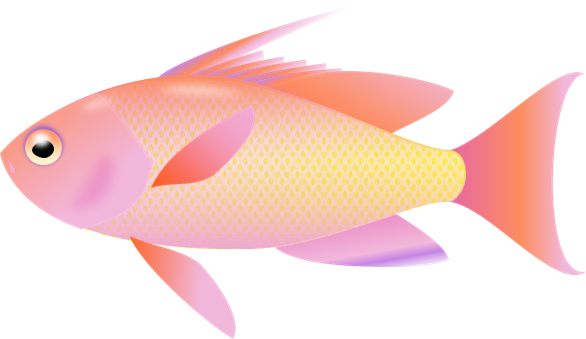 Graphics For Fishing Clip Art Transparent Background - Fish Clipart Transparent Background (586x339)
