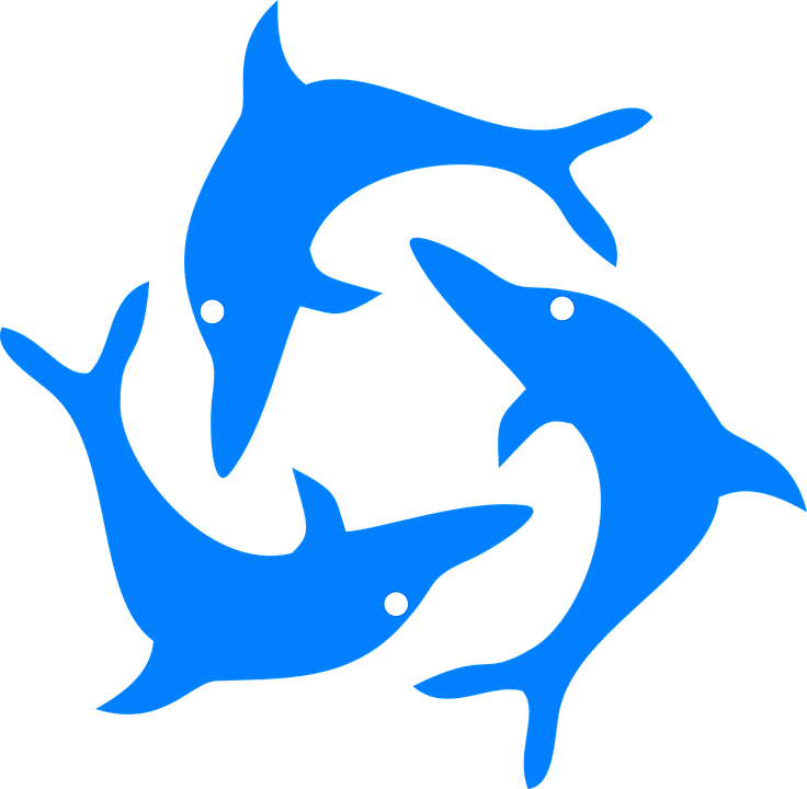 Dolphins Fish Jumping Animal Mammal - Dolphin Clip Art (1280x1250)