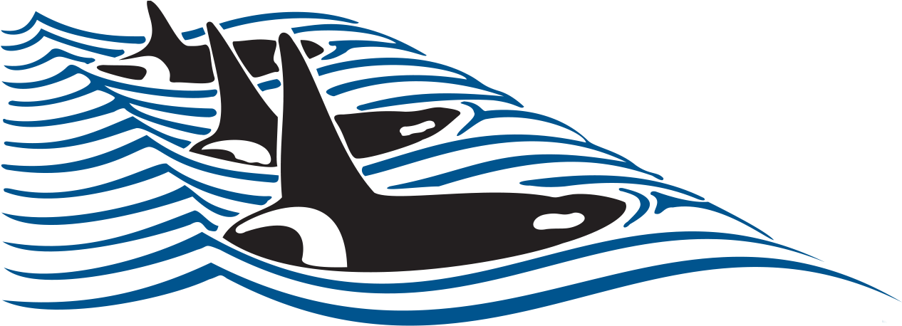 Our Boats - Jamaica Athletics Administrative Association (1274x474)