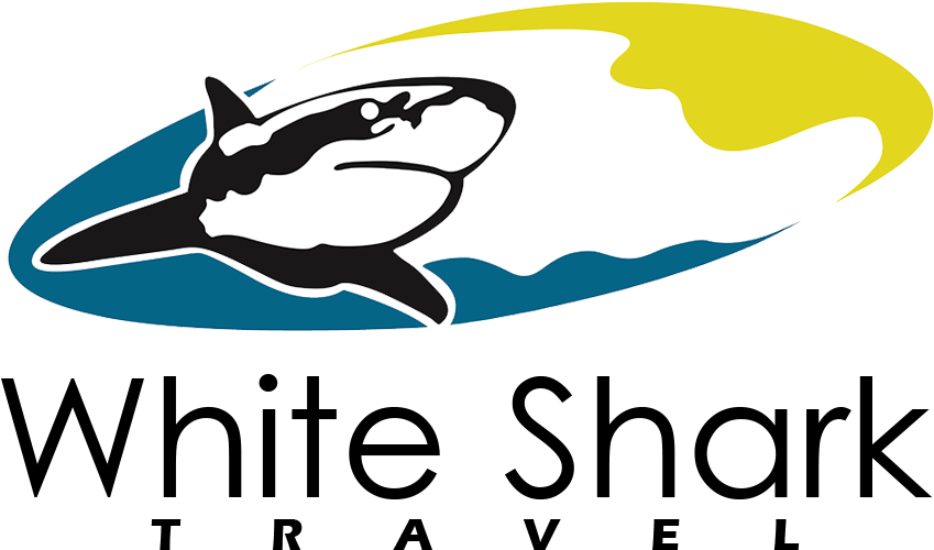 White Shark Travel - Jimbaran (1000x541)