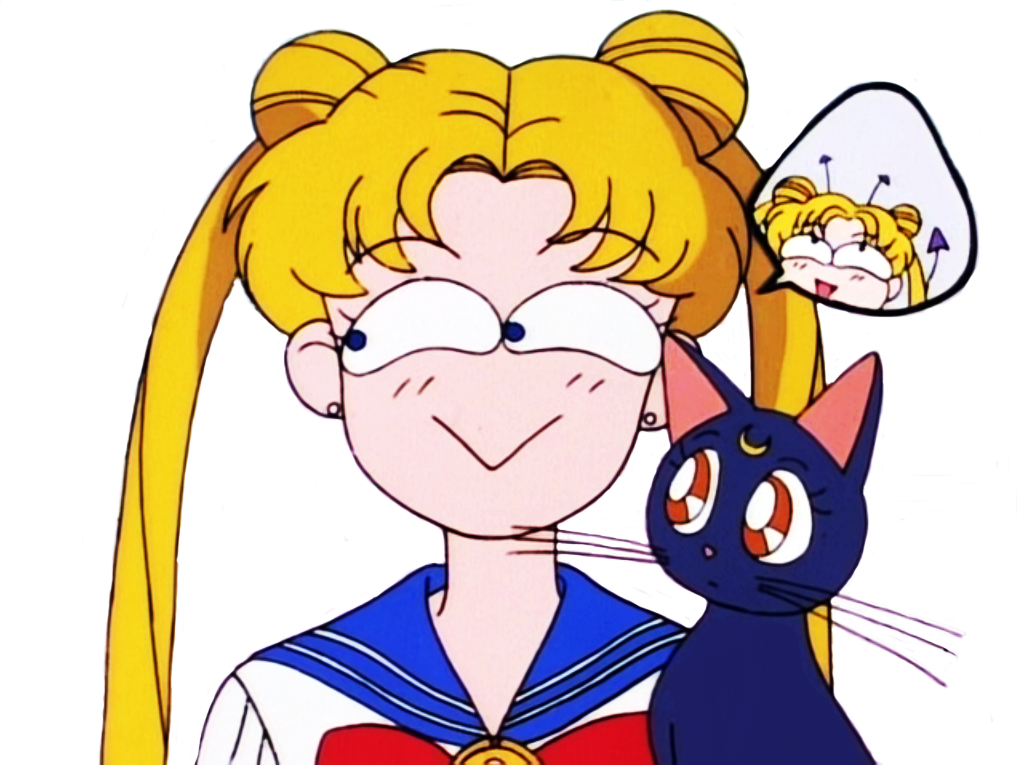 Pretty Guardians Screencaps - Serena Sailor Moon Gif (1017x765)