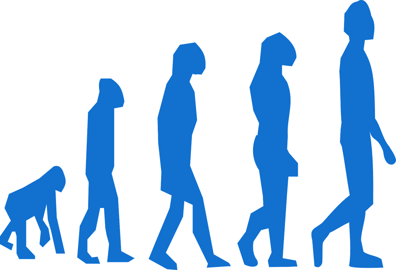 Change Of Pace Clip Art - Neanderthal Silhouette Left (1280x871)