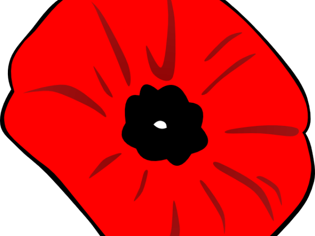 Red Poppy Cliparts - Remembrance Day Poppy Clipart (640x480)