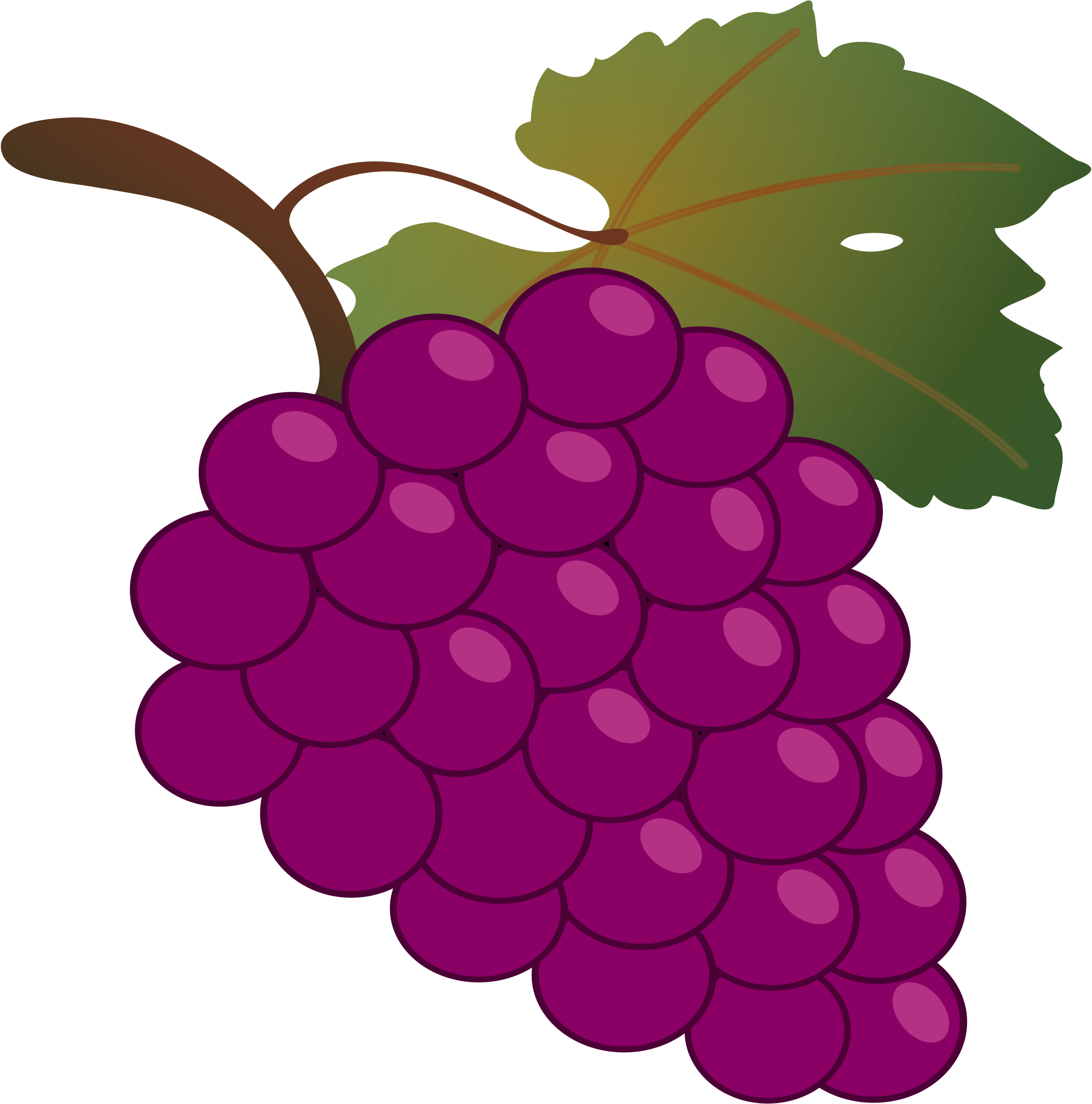 Open - Grapes Clipart (2375x2400)