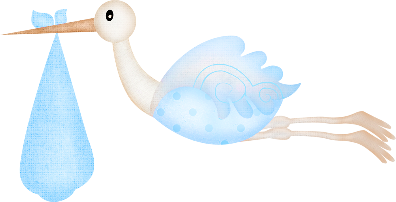 It`s A Girl - Waterfowl (1280x654)