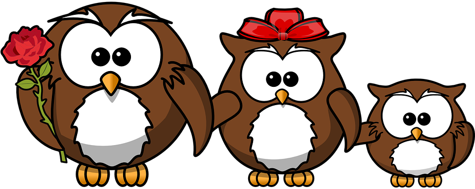 Owl Animal Bird Funny Family Father Mother - Funny Birthday Wishes For A Son (960x480)