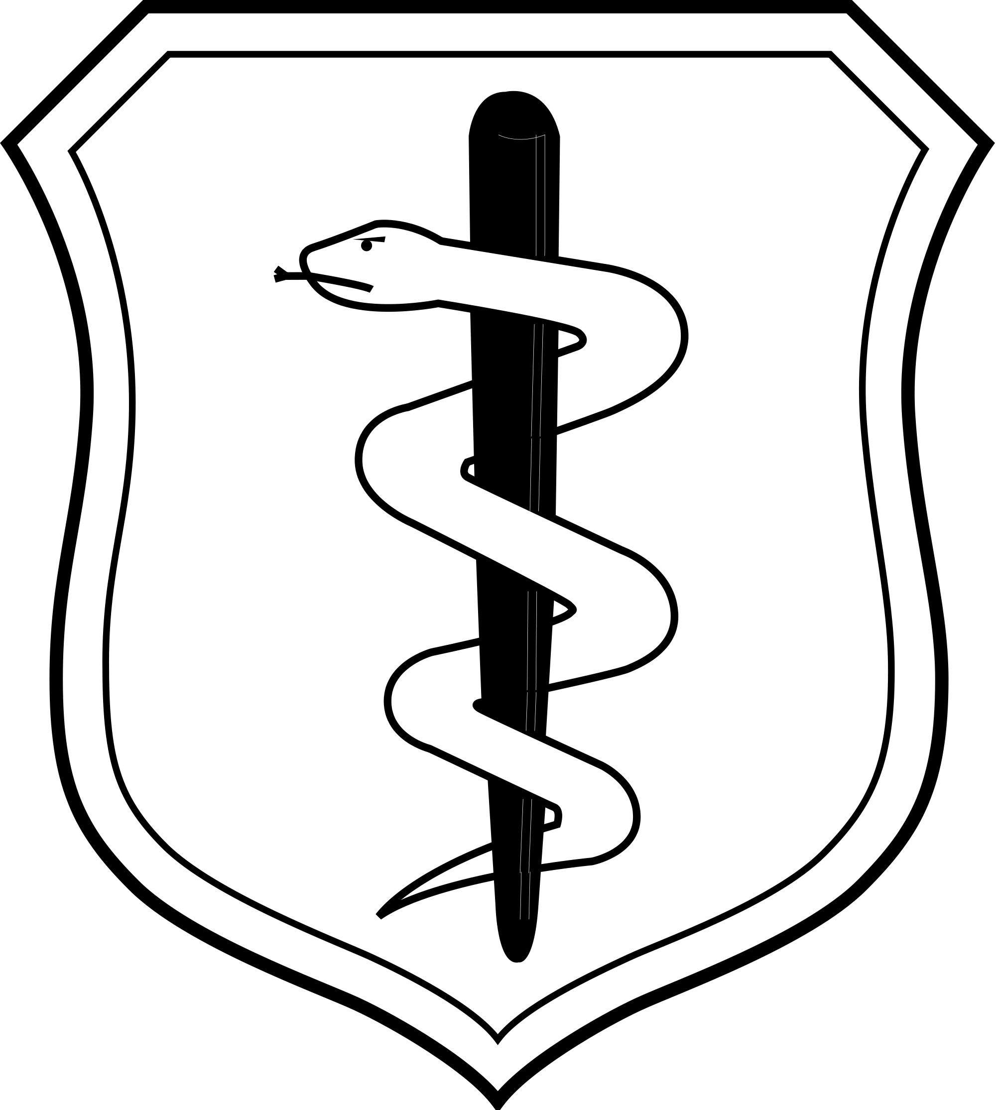 Open - Air Force Medical Corps (2000x2229)