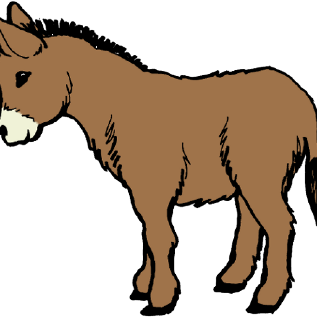 Donkey Clip Art Clip Art Donkey Clipart Image Clipartix - Burro Coloring Pages (1024x1024)