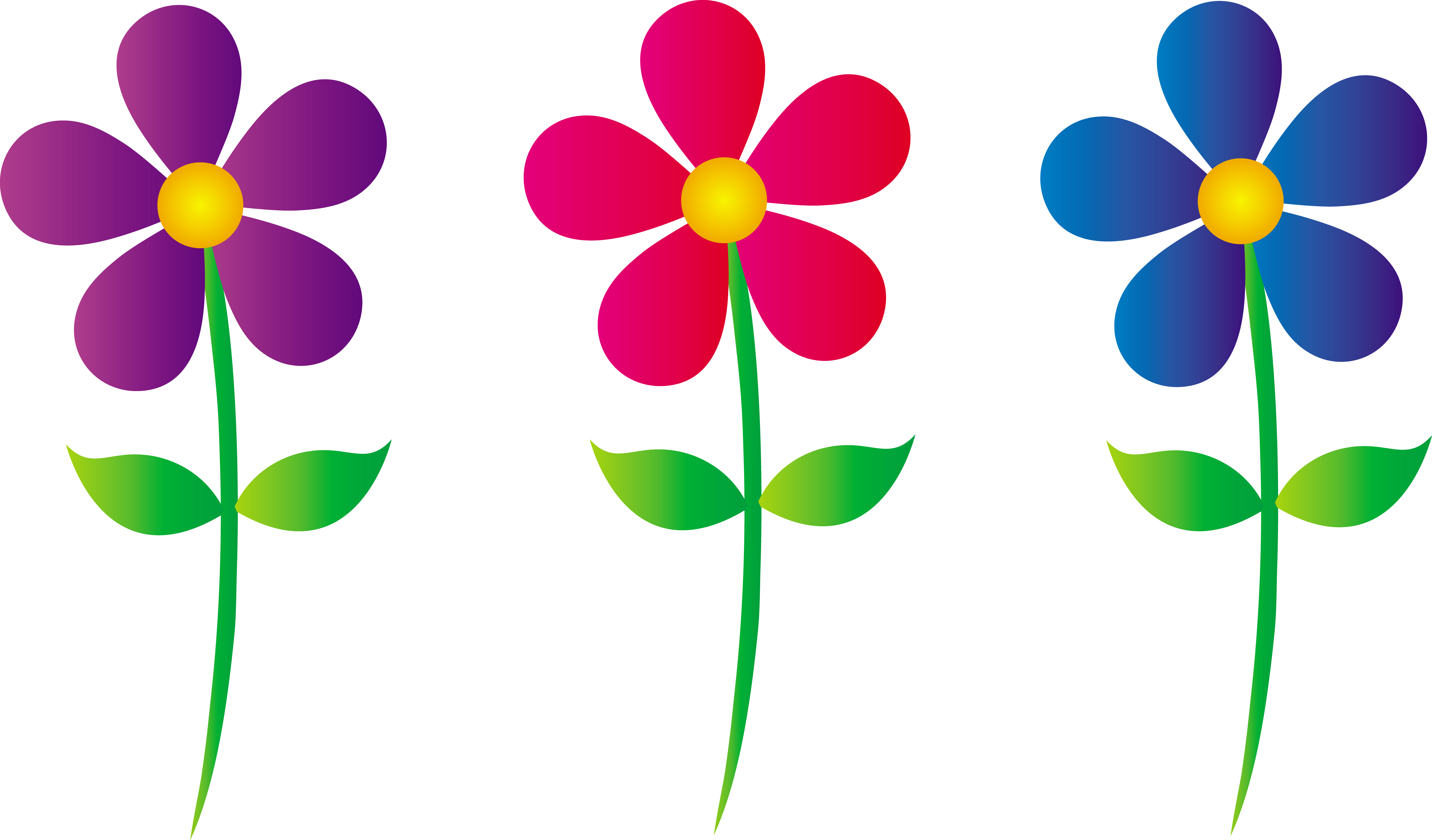 Flower Border Clipart - Flowers Clipart (7747x4545)