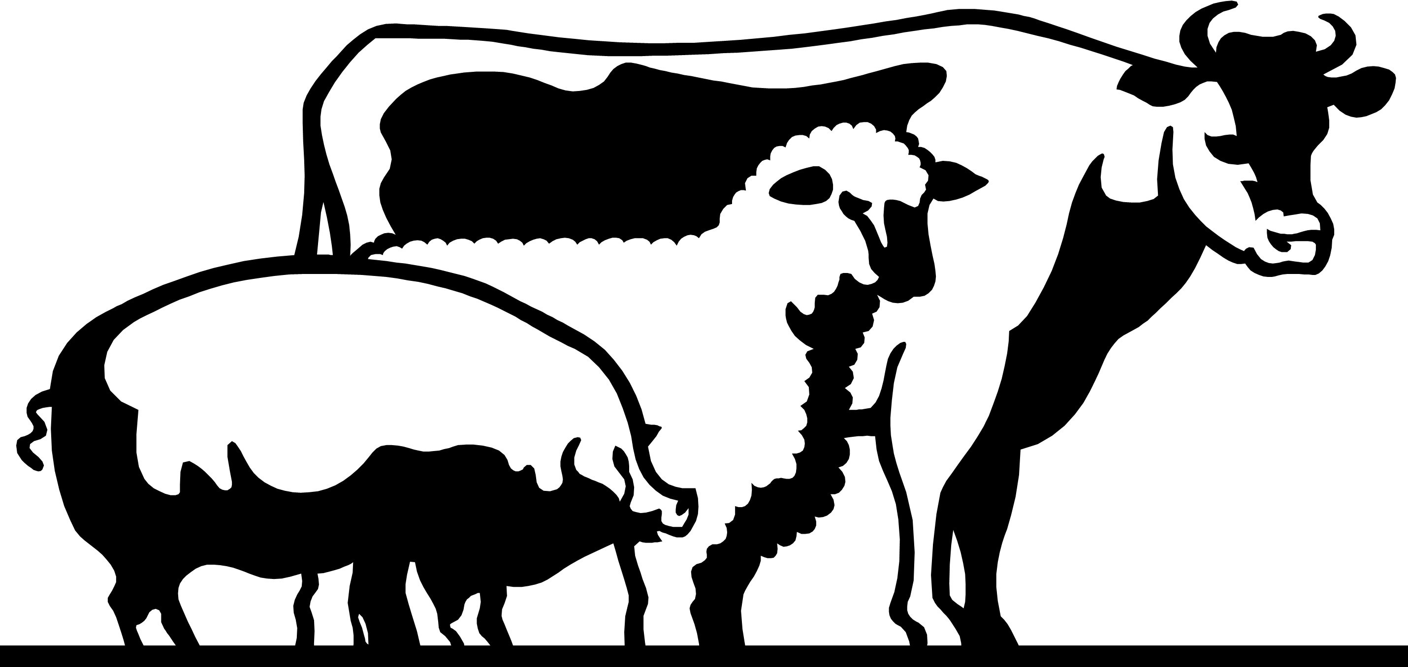 Cattle Domestic Pig Livestock Show Clip Art - Livestock (2860x1356)