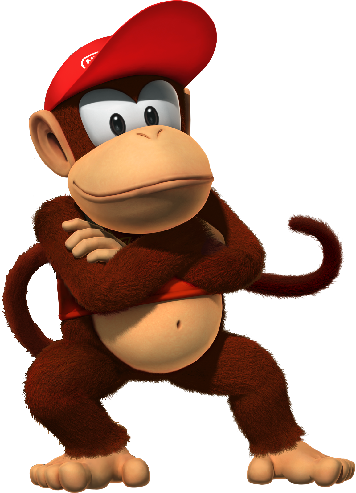 Donkey Kong Country Main Characters - Don King Kong Jr (1155x1600)