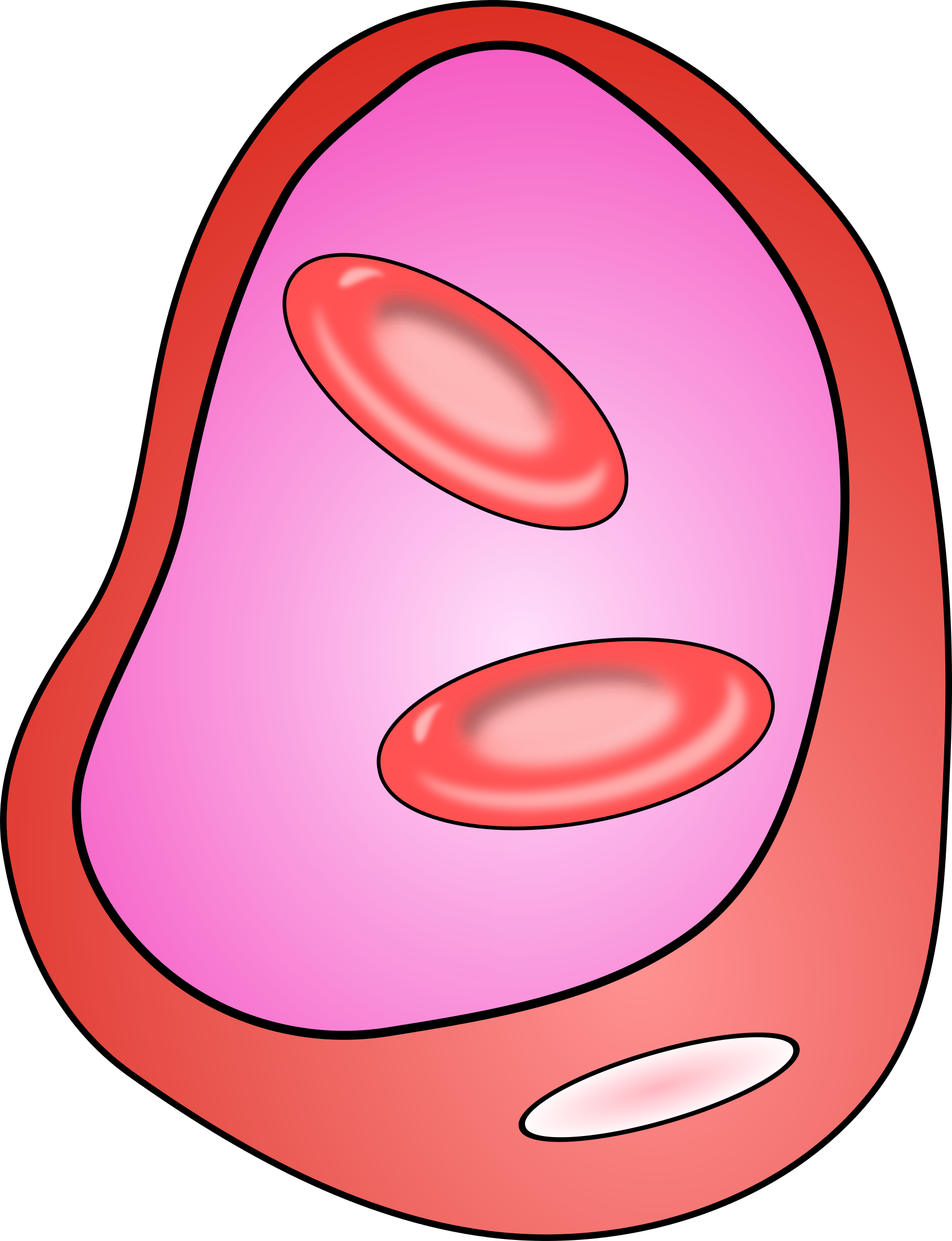 Free Blood Vessel With Erythrocites - Clipart Of A Cell (1841x2400)