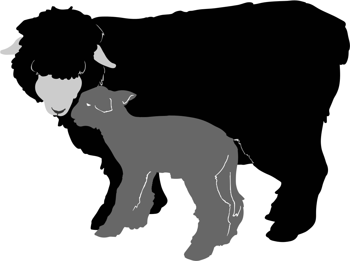 Detailed Sheep Silhouette Clipart - Sheep Silhouette Png (1280x955)