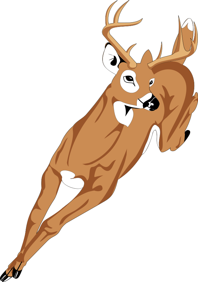 Deer - Deer Clip Art (631x900)