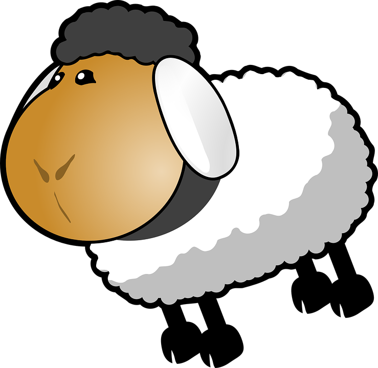 White Sheep Clip Art (739x720)