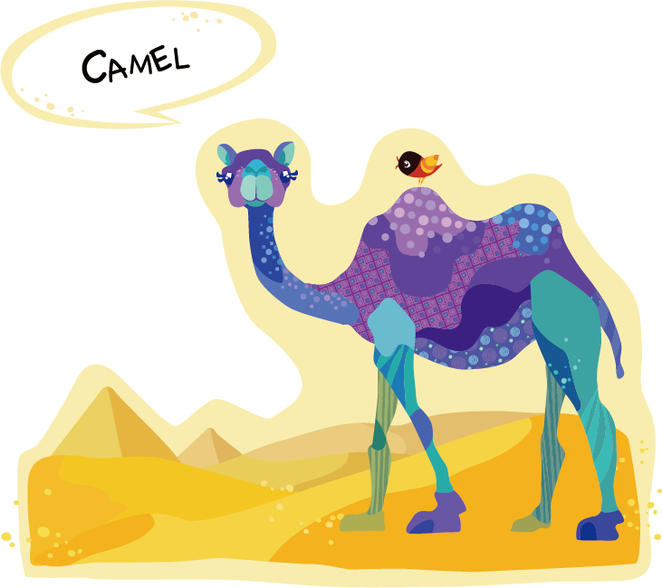 Dromedary Bactrian Camel Drawing Cartoon - Dromedary Bactrian Camel Drawing Cartoon (731x650)