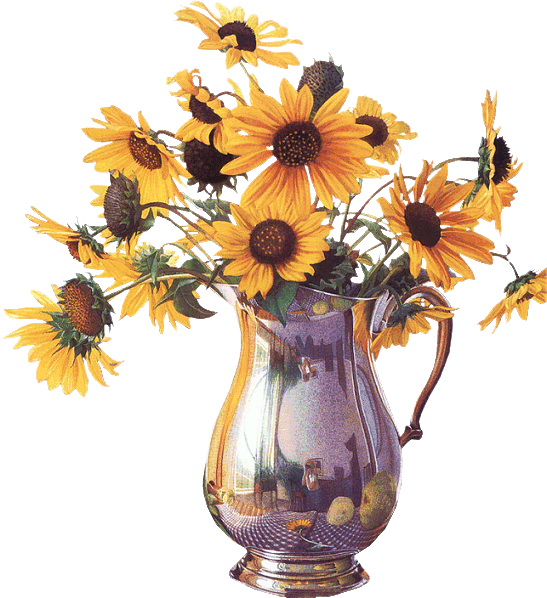 Common Sunflower Flower Bouquet Clip Art - Common Sunflower Flower Bouquet Clip Art (547x598)