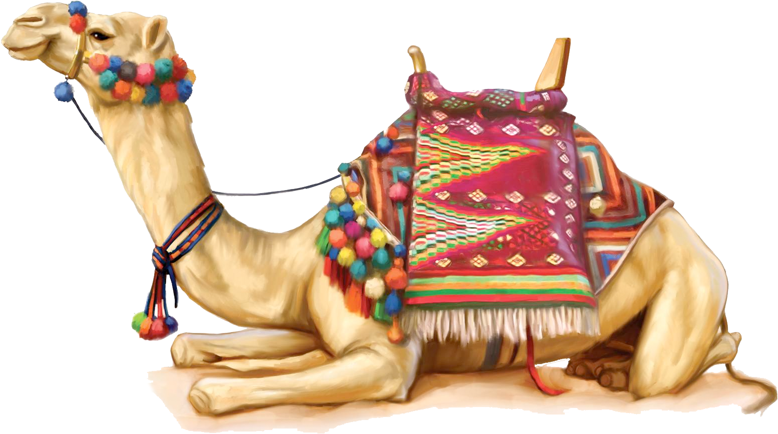Camel Png - Camel Png (1684x1247)