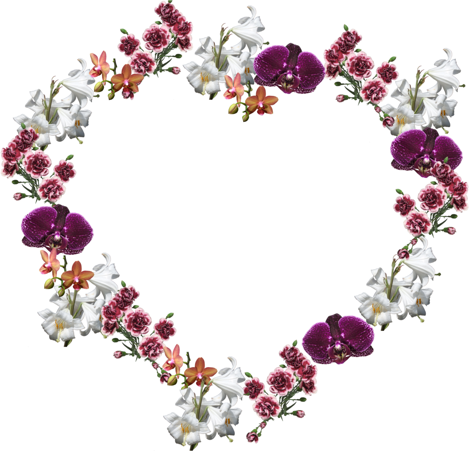 Flower Frame Png By Adagem Flower Frame Png By Adagem - Flower Frame Png (1600x1547)