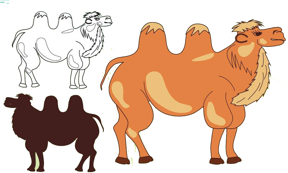Camel Silhouette Illustration - Camel Silhouette Illustration (1000x624)