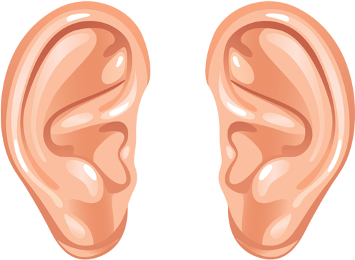 Ear Png Transparent Images - Ears Clipart (850x425)