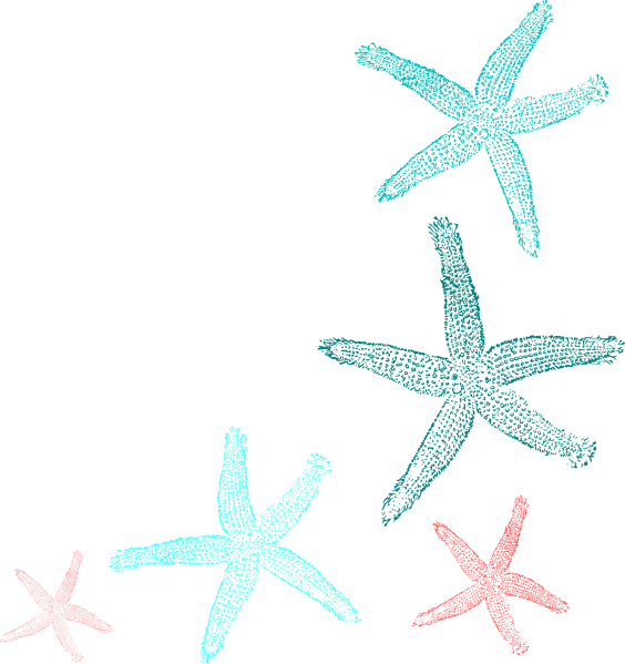 Coral And Teal Starfish Clip Art At Clker - Coral Starfish Clipart (564x599)